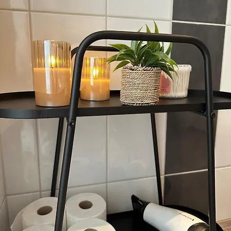 Daire Stunning In The Heart Of Downtown Sauna, Wifi, Netflix, Free Parking *