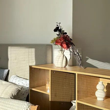 Stunning In The Heart Of Downtown Sauna, Wifi, Netflix, Free Parking Daire