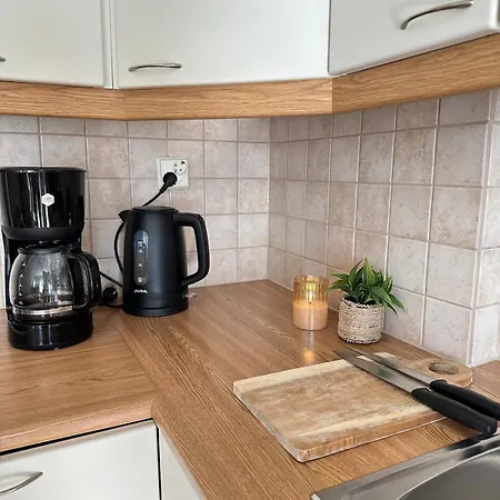 Daire Stunning In The Heart Of Downtown Sauna, Wifi, Netflix, Free Parking