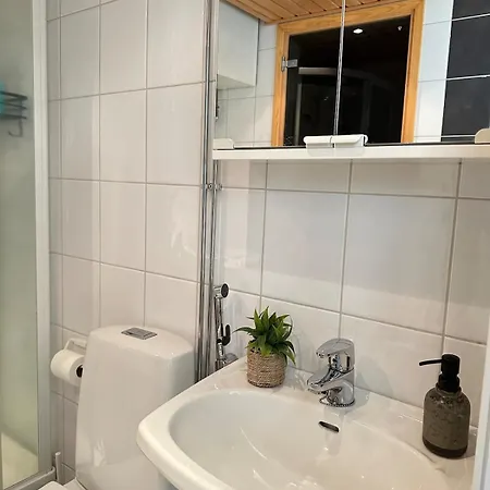 Daire Stunning In The Heart Of Downtown Sauna, Wifi, Netflix, Free Parking *
